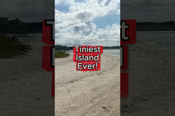 Tiny Island Adventure pe o pisică Hobie! #insulalife #barca cu pânze #pantaloni scurți #boatlife