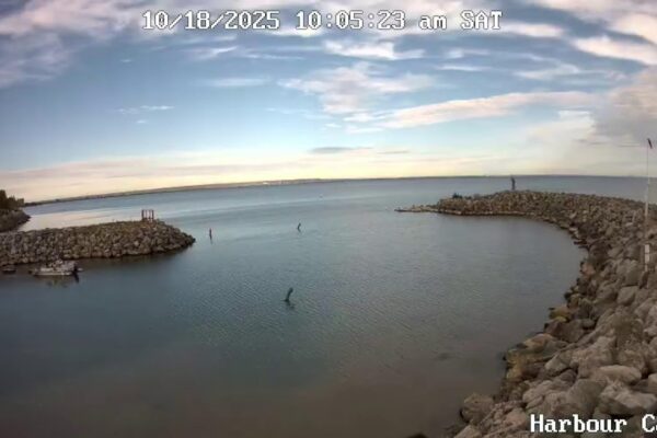 Newport Yacht Club HarbourCam