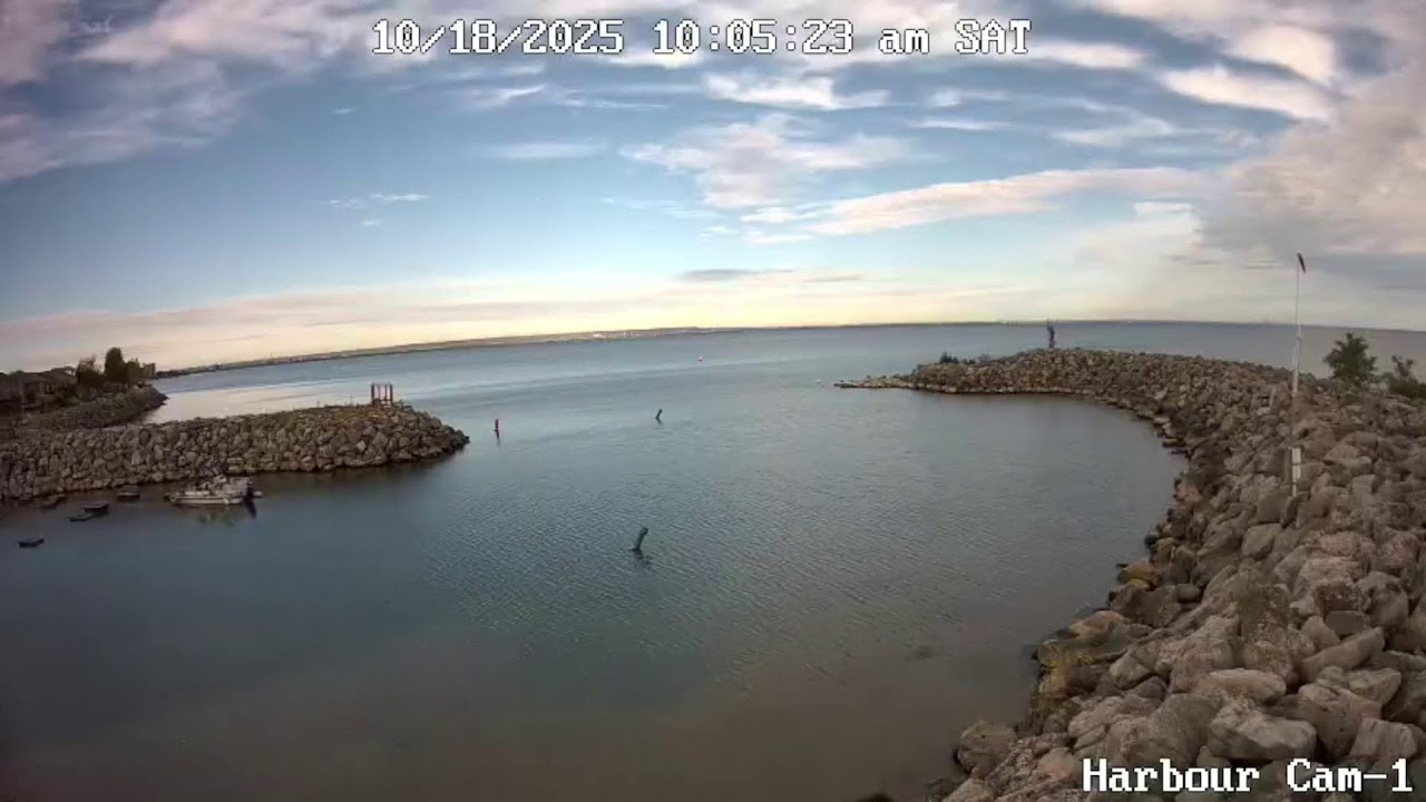 Newport Yacht Club HarbourCam