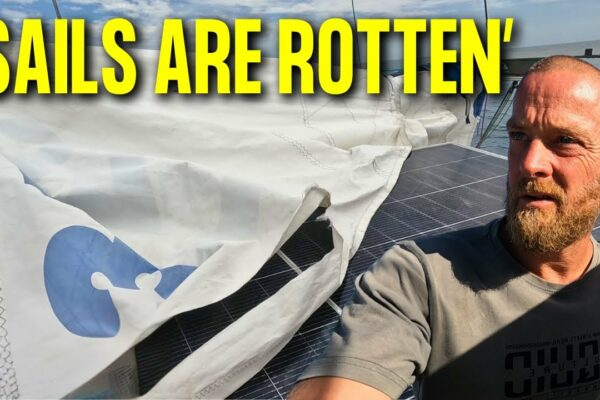 AVEM NEVOIE DE AJUTORUL DVS.!!