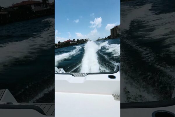 2024 Yamaha Boats 252 FSH Sport | Blue Top Yachting