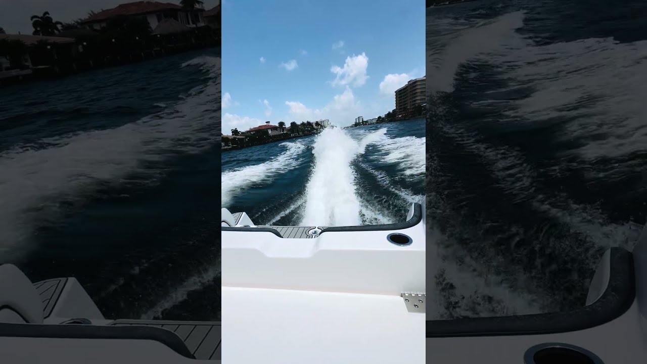 2024 Yamaha Boats 252 FSH Sport | Blue Top Yachting