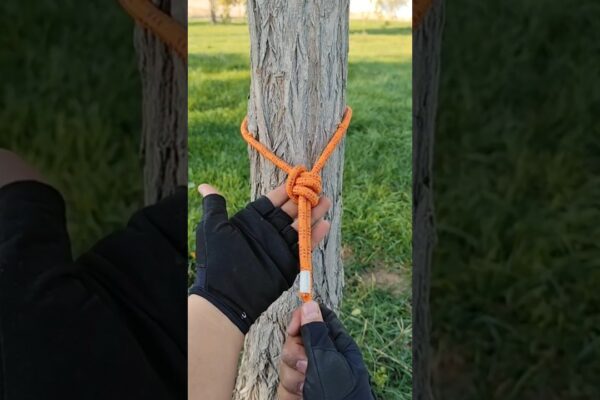 ⚡Să stăpâniți rapid strângerea de copac neclintit #short #tutorial #diy