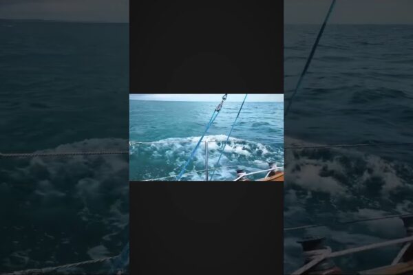 Sailing Devon .￼ #adventure #sailing #shorts