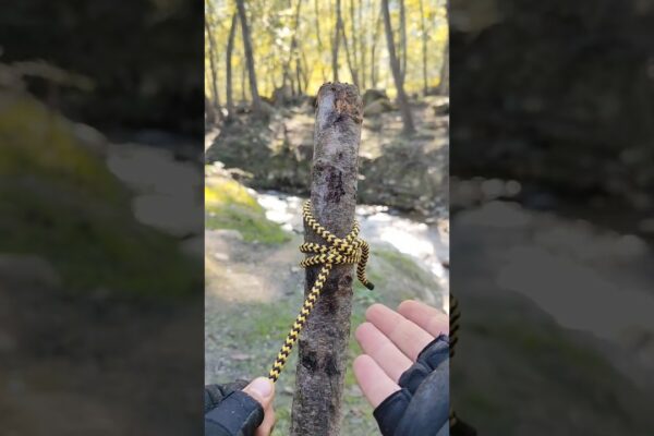 ⛔STOP! Ai greșit noduri!#short #survival #fishing