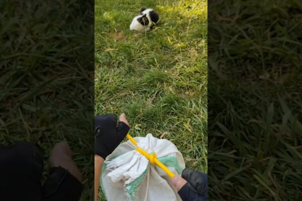 ⚡SINGURUL Nod de care ai nevoie! (Forța de viață) #short #world #diy #knot