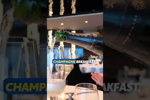 Mic dejun de lux la mare 🥂 | MSC Euribia Yacht Club #cruiseship #croaziera #msceuribia #msccruises