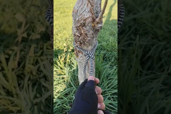 🔥Cel mai puternic nod buclă anti-alunecare #pantaloni scurți #antrenament #supraviețuire #diy