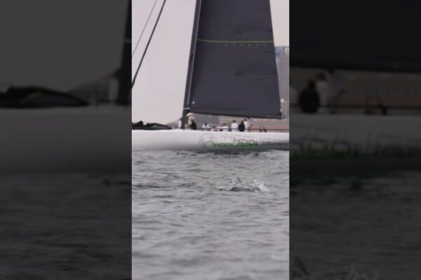 LGT Wealth Management Australia Cup - Ziua 4