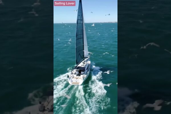 „Flight & Sail – Cursând vântul peste marea deschisă” #marinar #barcă cu pânze #barcă #navigație #shortvideo