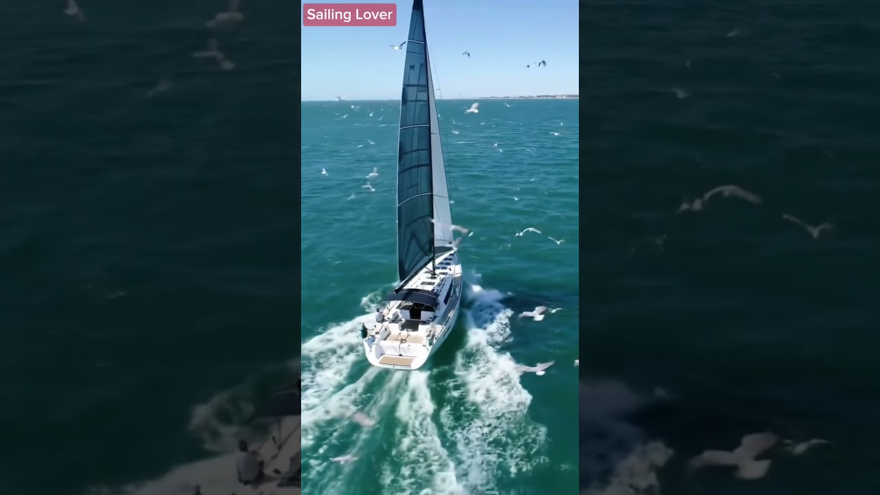 „Flight & Sail – Cursând vântul peste marea deschisă” #marinar #barcă cu pânze #barcă #navigație #shortvideo
