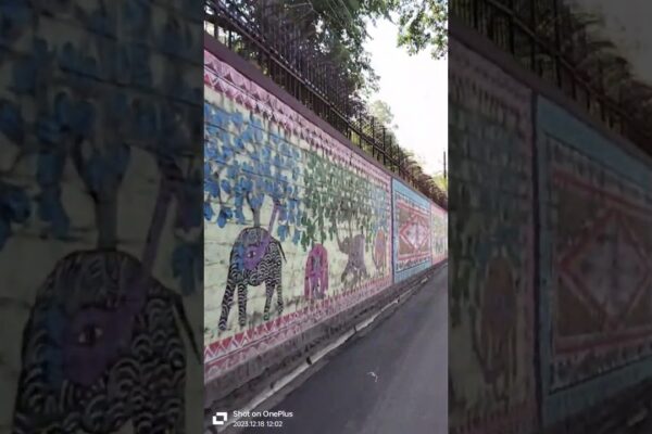 Boat club Bhopal #shortsfeed #ytshorts #Shorts #Viral #shortsviral #viralvideos #shortvideos