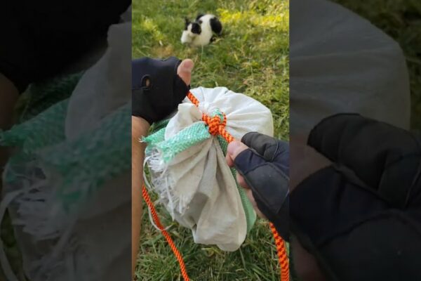 🚨 STOP! Folosește ACEST Nod Securizat #satisfăcător #tutorial #natura