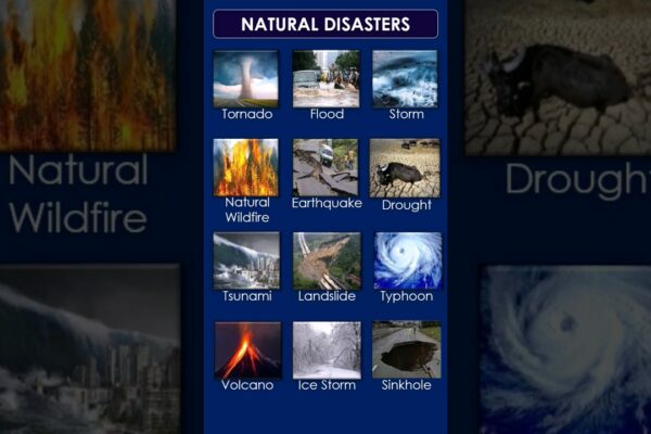 Dezastre naturale | Vocabular