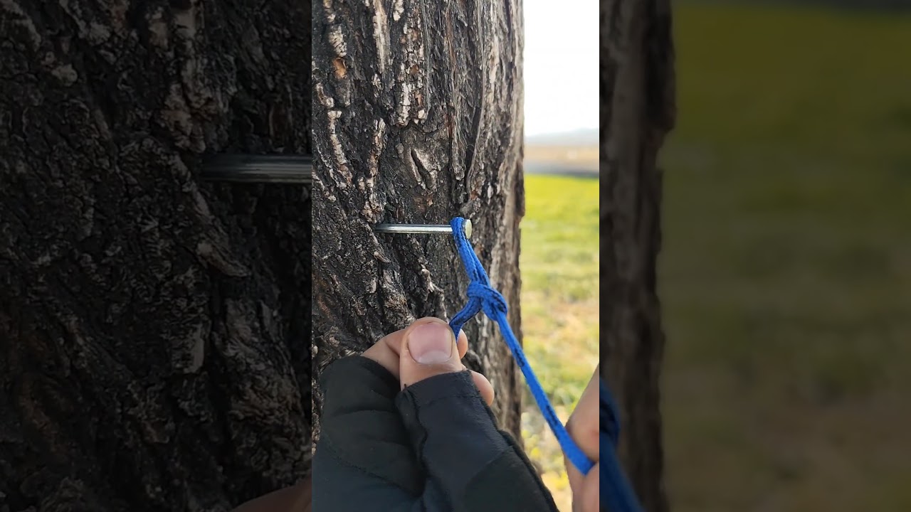 🚨Regele nodului secret de 1 secundă al expertului #abilități #tutorial #satisfăcător #natura