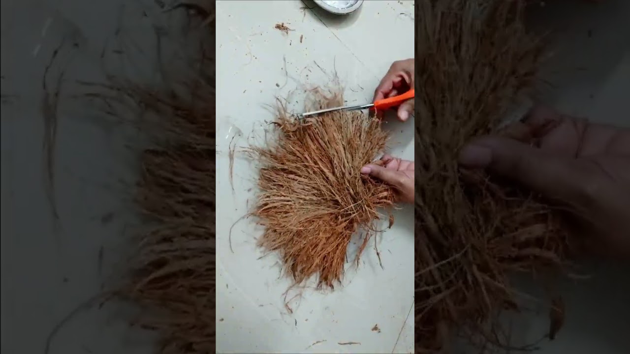 Cel mai bun din deșeurile de coajă/fibră de nucă de cocos #short