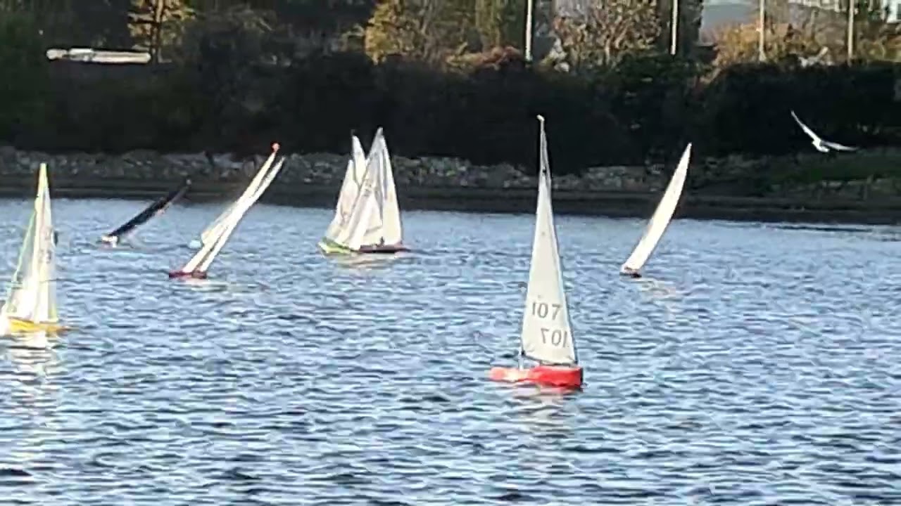 Eastbourne & District Model Yacht Club. Cursa internă a trofeului Guy Fawkes de un metru IOM 20. 11.02.2025