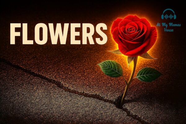 Flori | Clubul de iaht Seagull