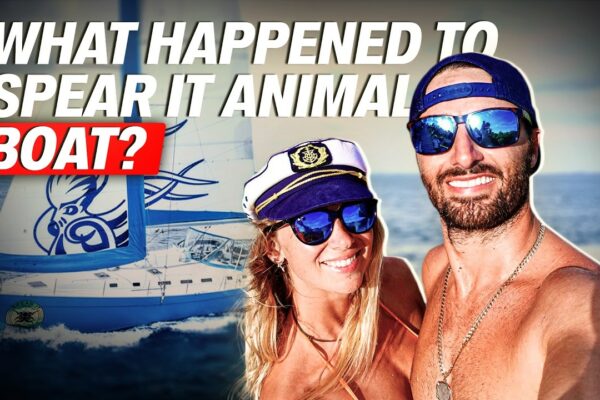 Ce s-a întâmplat cu Sophia și Sascha din Spear It Animal?