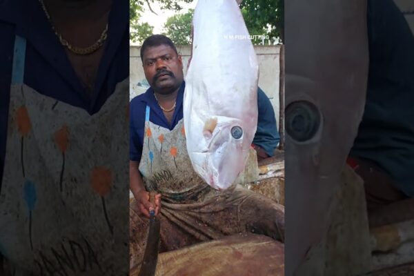 🤯JACHETA DE PIELE FISH |KASIMEDU 🔪 SPEED SELVAM ABILITĂȚI DE TĂIERE REMARCIATE VIDEO #deprinderi de tăiere pește
