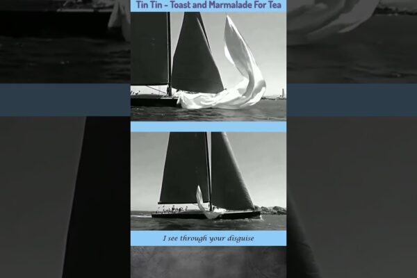 Tin Tin - Toast și Marmeladă Pentru Ceai #oceanracers
