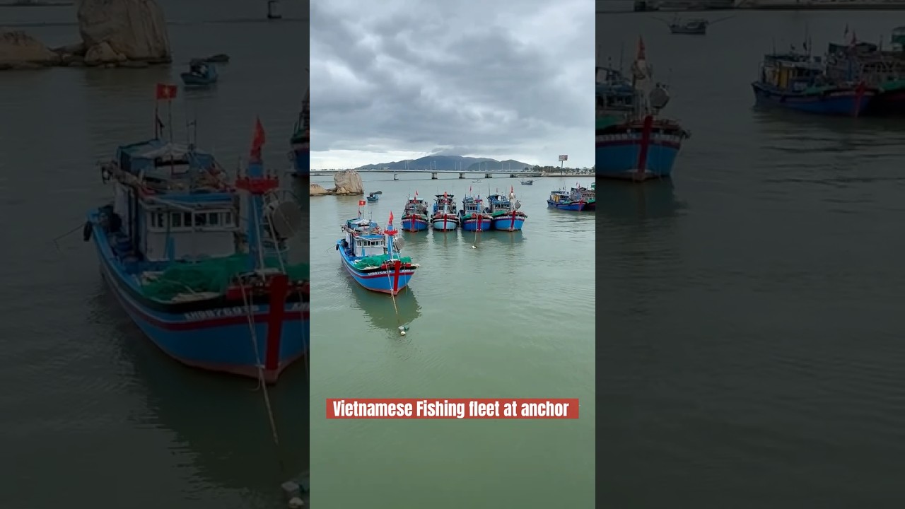 Flotă de pescuit colorată, Nha Trang, Vietnam