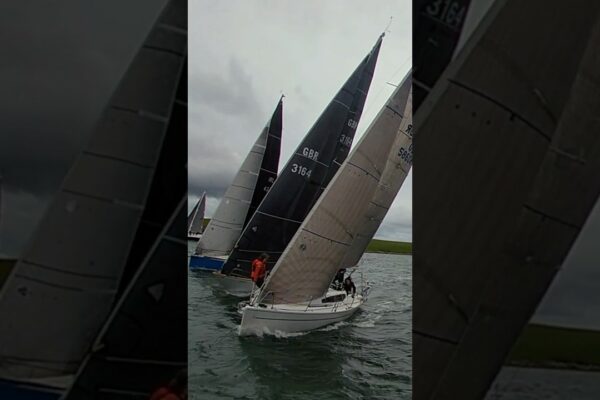 Cine va câștiga această cursă epică cu barca cu pânze?