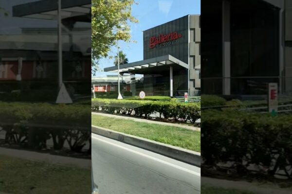 „Înapoi la bord! Reîntoarcerea navei după o pauză 🌊🚢💼” || SAILØ⚓CARLØ || தமிழ் ||