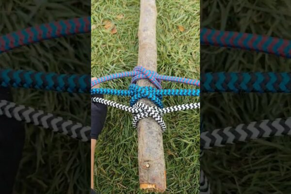 SINGURUL nod de supraviețuire de care aveți nevoie. Învață RAPID#camping #diy #short #satisfying