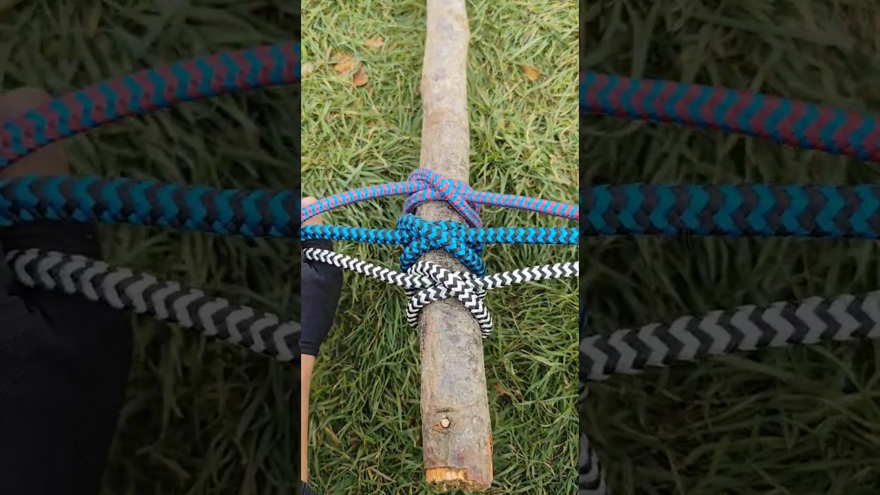 SINGURUL nod de supraviețuire de care aveți nevoie. Învață RAPID#camping #diy #short #satisfying