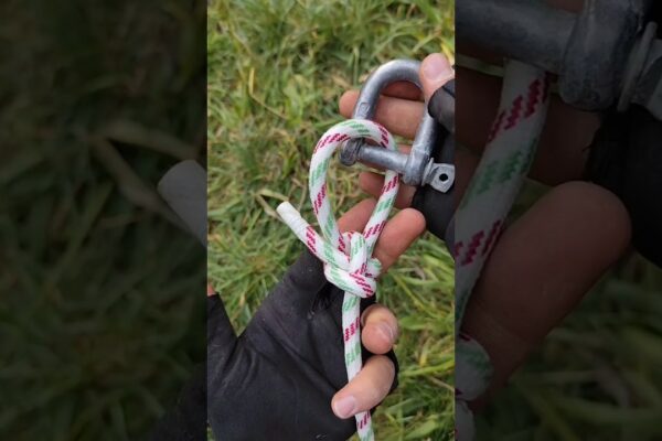 🔥Este nodul tău o capcană mortală? Învață acest #short #nod #natura