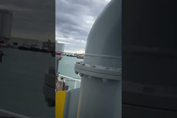 Cea mai mare navă de croazieră | Cea mai mare navă de marfă | Viața marinarului | #short #la tendințe