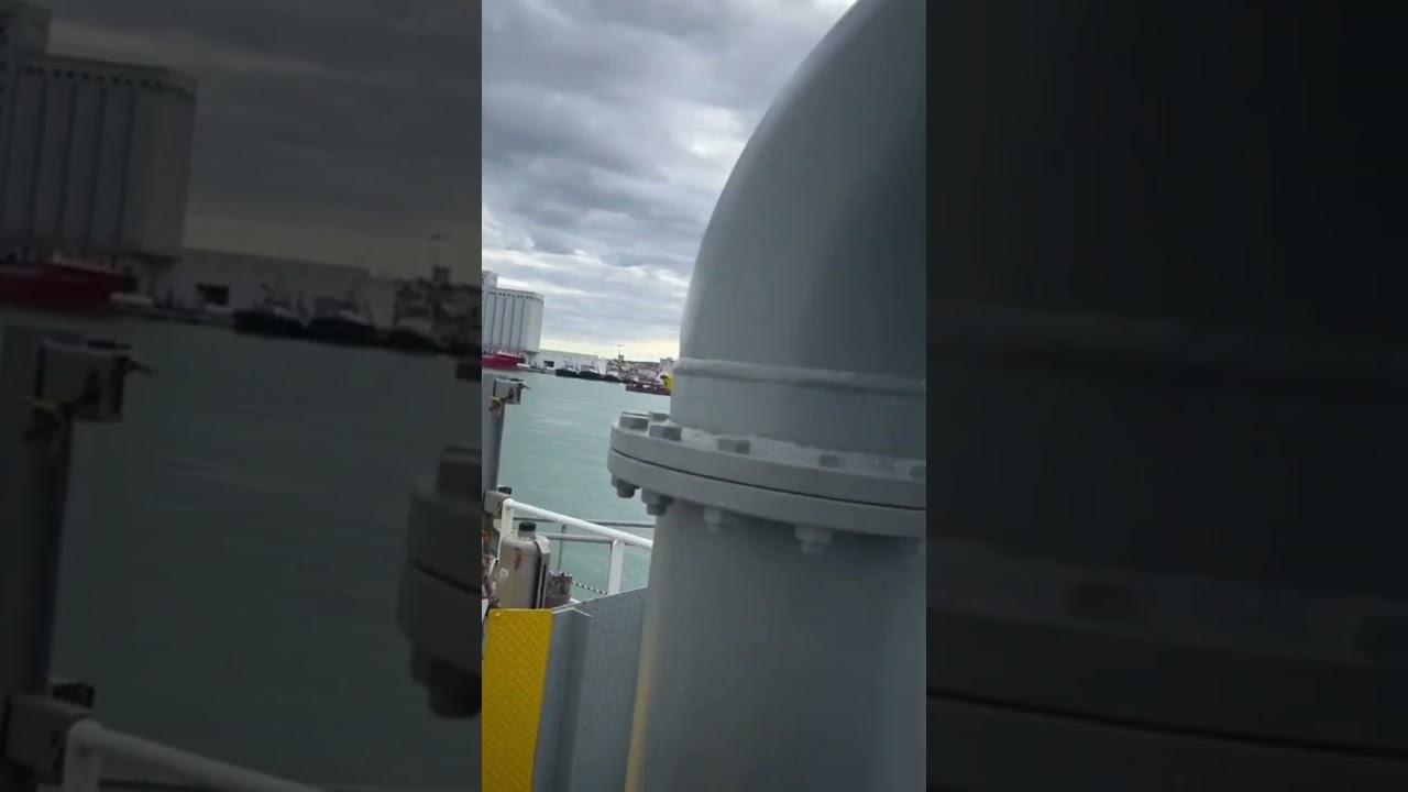 Cea mai mare navă de croazieră | Cea mai mare navă de marfă | Viața marinarului | #short #la tendințe