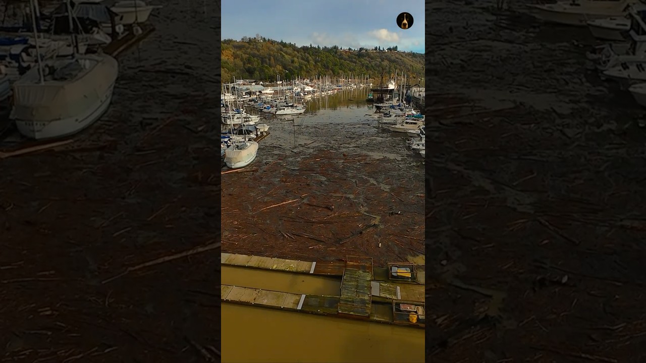 După furtună: Bușteni la Corinthian Yacht Club Tacoma | DJI Avata