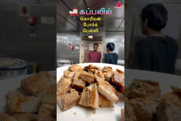 🚢 Navigați cu Coreeană 🐖 Burta de Porc ⭐️ Navigați cu Sakthi