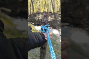 🚨 10 noduri salvatoare pe care toată lumea ar trebui să le știe #knot #youtubeshorts #education