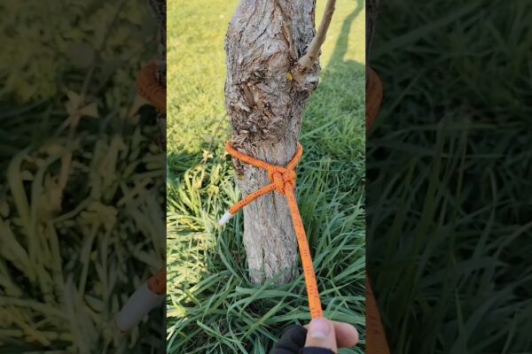 🚨Regele nodurilor într-un secol #nod #camping #pescuit