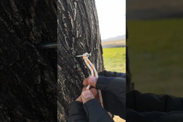 😱The Bank Robber’s Escape Knot – Tine pentru totdeauna, se eliberează în 1 secundă! #camping #supraviețuire #nod