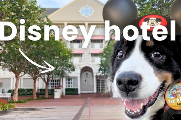 stai... poți să-ți aduci câinele la Disney World?! (Recenzia clubului de iaht)