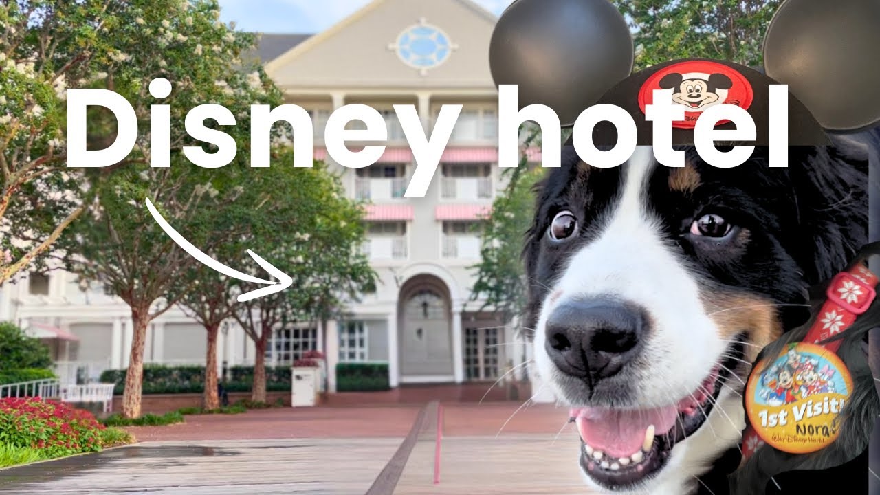 stai... poți să-ți aduci câinele la Disney World?! (Recenzia clubului de iaht)