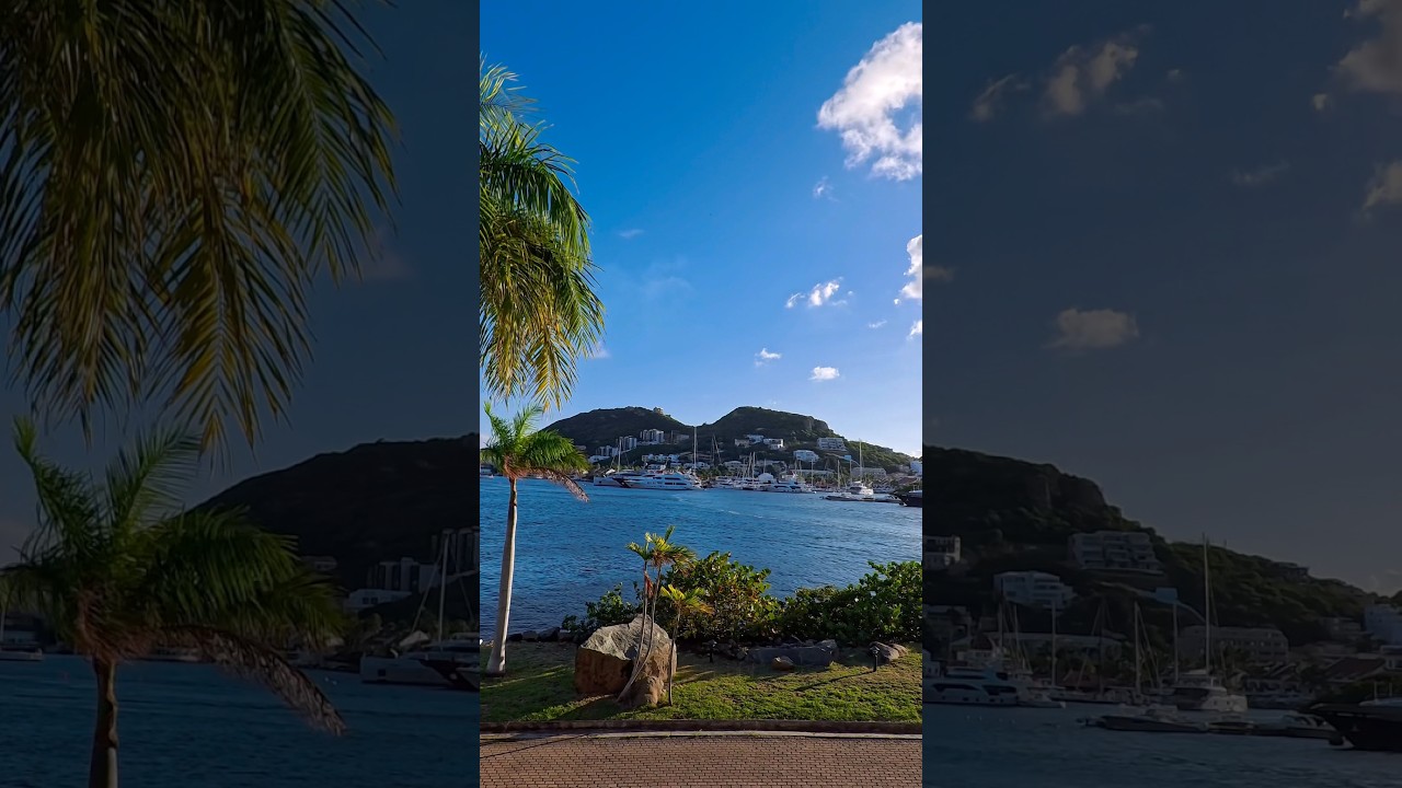 Yacht Club @Simpson Bay#shortvideo