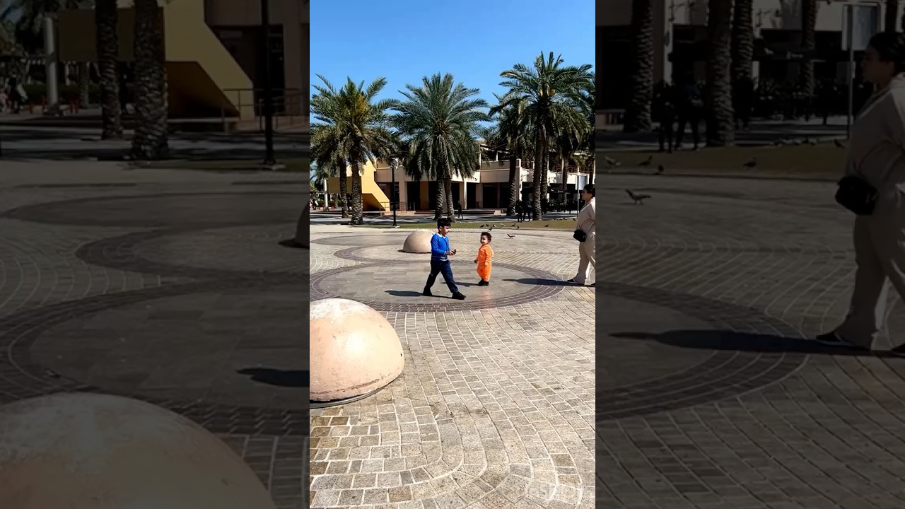 Joacă la clubul de iaht din apropiere #Shorts #YtShorts #MarinaVibes #YachtLife #Waterfront #PlayTime