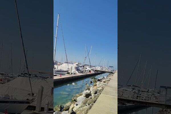 Ocean Marine Yacht Club Pattaya Thailanda 👍👍👍👍🥰🥰🥰🥰🥰🥰🥰🥰28/12/25