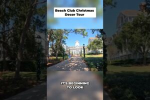 Decoratiuni de Craciun la Beach Club & Yacht Club!