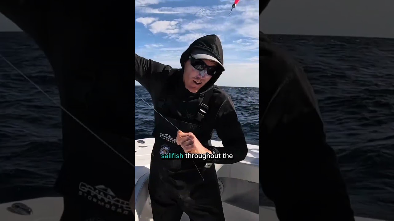 L-am întâlnit cu Tom Bzura pentru a vorbi despre toate lucrurile Silver Sailfish Derby!!