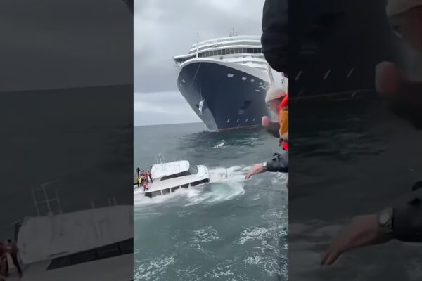 Acest iaht nu a avut nicio șansă împotriva navei de croazieră #yacht #maritime #salvare