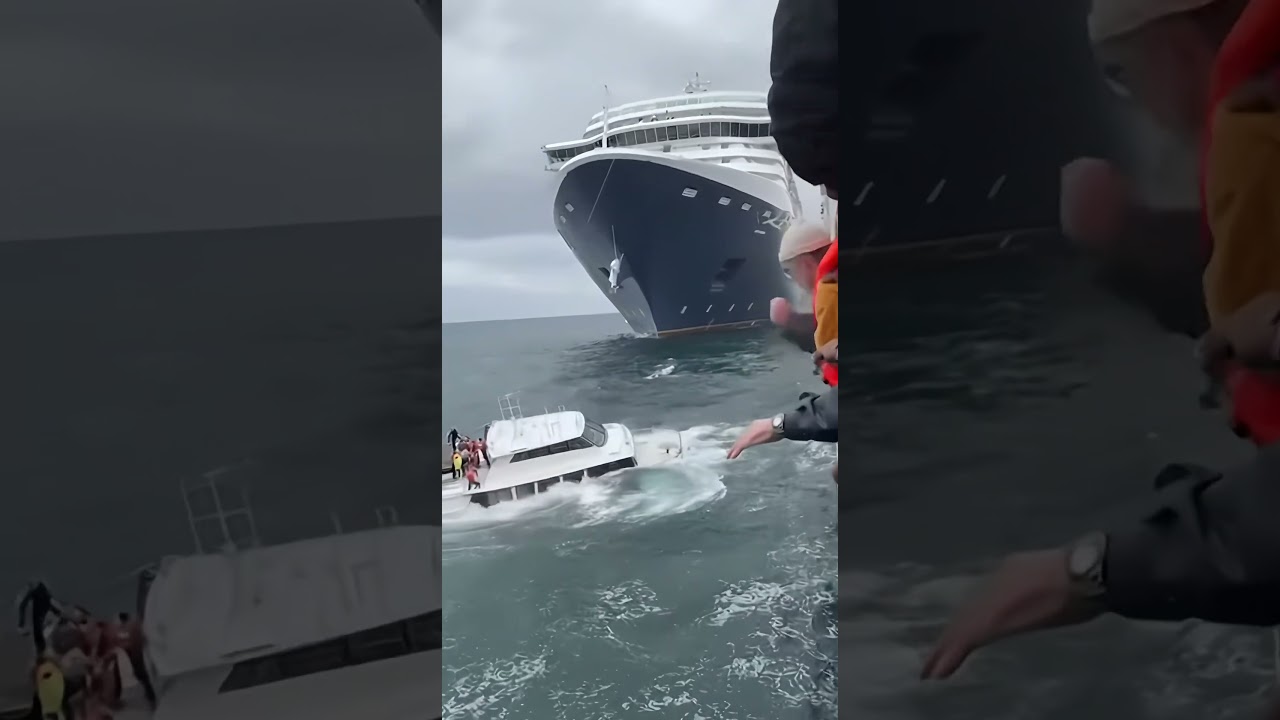 Acest iaht nu a avut nicio șansă împotriva navei de croazieră #yacht #maritime #salvare