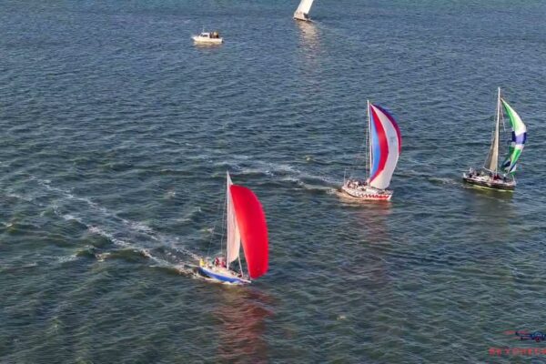 Davis Island Yacht Club. #aerialphotography #aerialvideo #drone #florida #saltlife