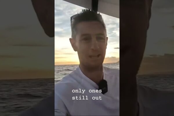 „Nu vreau să intru” #catamaranyacht #catamaransailing #catamaranyacht #catamarans #sailinglife