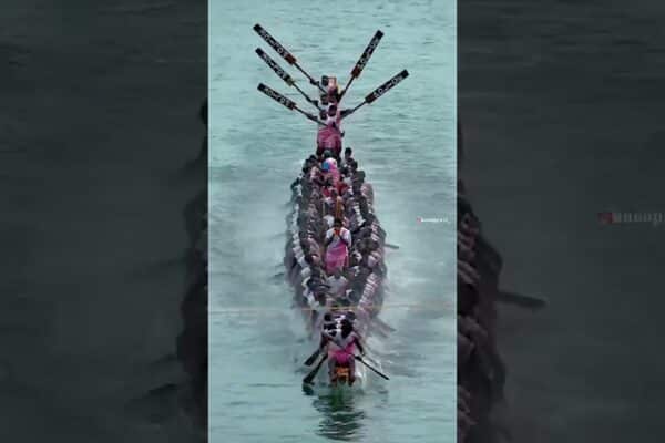 Kerala Boat Race | Lucru minunat în echipă de dragonboat #Short